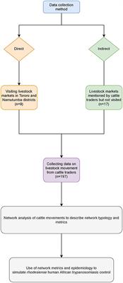 Livestock Network Analysis for Rhodesiense Human African Trypanosomiasis Control in Uganda